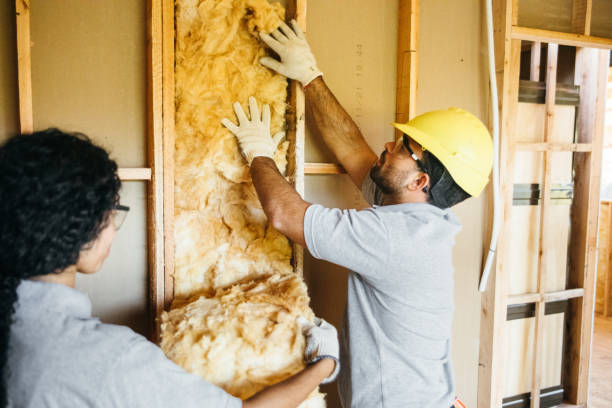 Best Blown-In Insulation  in Fredonia, NY